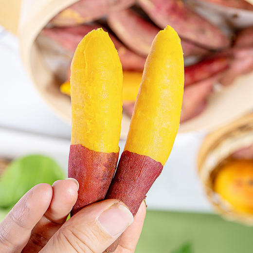 【河南好物】小香薯  4.5斤/9斤 商品图6