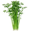 【顺丰/京东】正宗山东章丘鲍芹 特级芹菜 新鲜嫩芽 鲍家村鲍芹 榨汁推荐 3斤礼盒装  - ANXNY 商品缩略图2