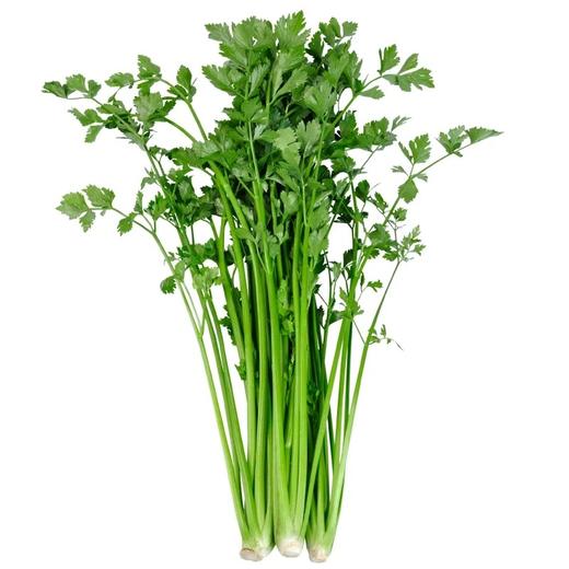 【顺丰/京东】正宗山东章丘鲍芹 特级芹菜 新鲜嫩芽 鲍家村鲍芹 榨汁推荐 3斤礼盒装  - ANXNY 商品图2