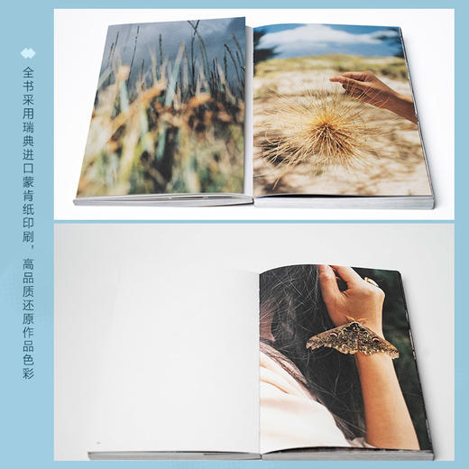 半枝浪 编号223摄影作品集摄影集画册个人摄影图集光影构图影像艺术编号223充满私密叙事与诗意碎片的摄影集 商品图2