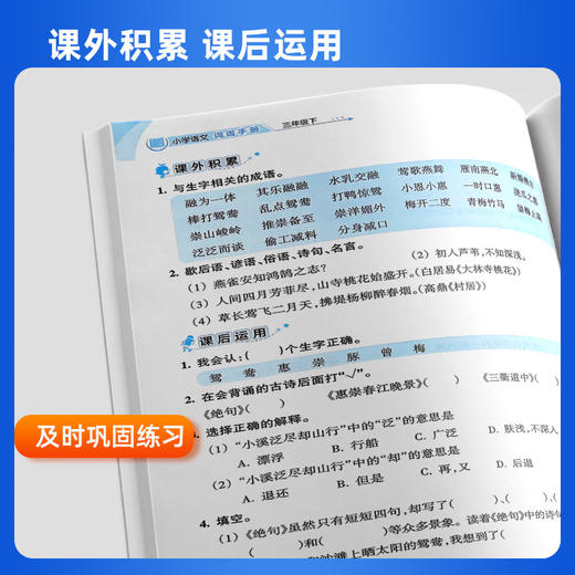 教学练小学语文词语手册 一二三四五六年级下册人教版开明出版社义务教育配套练习课前预习词语拓展课后练习册 商品图4
