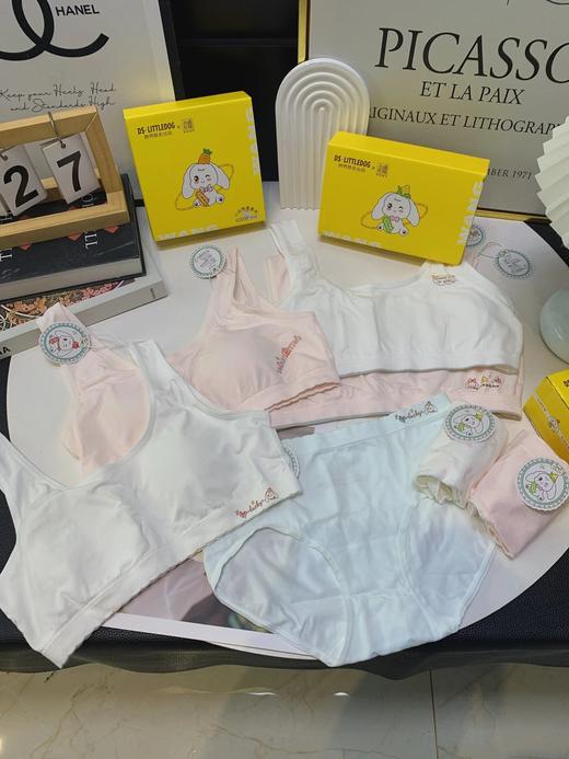 拍2减5！小白狗孔庙祈福成长系列内衣内裤  26Y03018- 商品图1