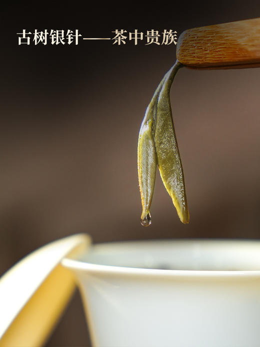 3月7日中午12点【冰岛白毫针】云南白毫银针冰岛古树白茶全芽头临沧核心产区一年仅采一次 商品图7