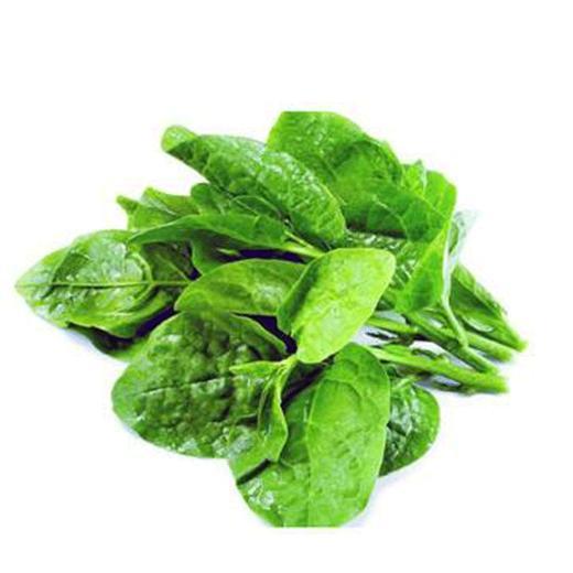 【SF】木耳菜 新鲜采摘 产地直发 商品图1