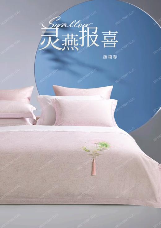 6F堂皇 燕禧春长绒棉四件套 商品图0