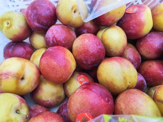 【预售】珠宝李/太阳李 肉质松脆爽口，一口下去汁水丰盈，满满的李子清香。 商品图0