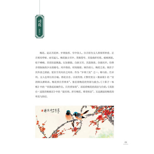 杏林雅趣 王越 李淳 张怡 编著 中医古籍医学书籍 中医学 临床医学 9787515229706 中医古籍出版社 商品图4