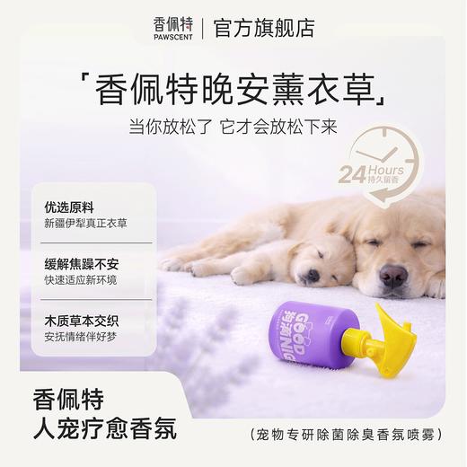 香佩特宠物疗愈香氛喷雾-晚安薰衣草（赠早安手套一片） 商品图0