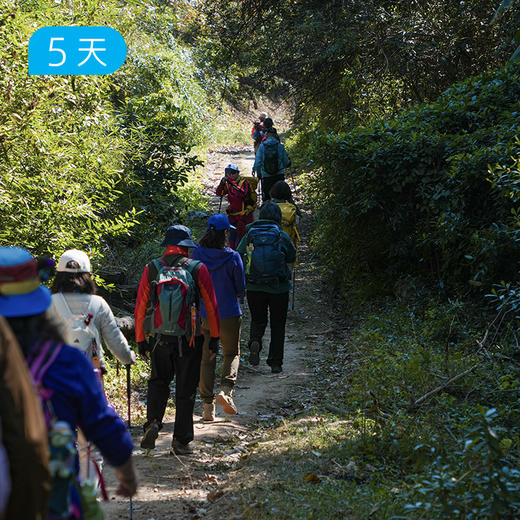 漓江50公里精华版徒步｜高口碑户外路线 多重户外花样玩法 16人小团 5日 商品图12