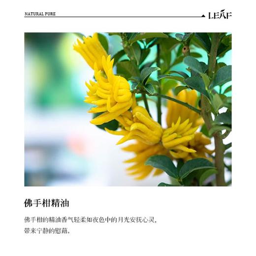 利芙耶 佛手柑单方精油10ml/瓶 商品图1