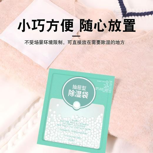 【秒杀❗️9.9抢10袋🔥家用除湿袋】大容量，更除湿，物理吸湿防潮更放心！日式吸湿干燥剂回南天神器除湿袋室内家用L 商品图3