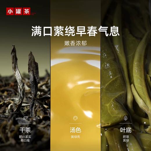 小罐茶2026早春绿茶头拔芽叶大袋装80g茶叶自己喝实惠装 商品图14