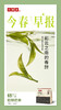 小罐茶2026早春绿茶头拔芽叶大袋装80g茶叶自己喝实惠装 商品缩略图8