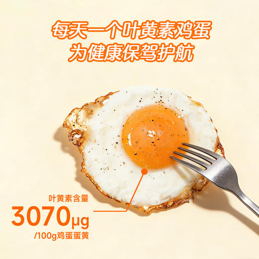 逸清源 叶黄素绿壳鸡蛋 30枚/盒 湖北汉川 商品图3