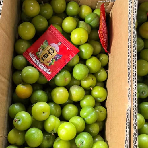 2026新鲜云南三月李子(送甘草辣椒)酸脆口感 商品图4
