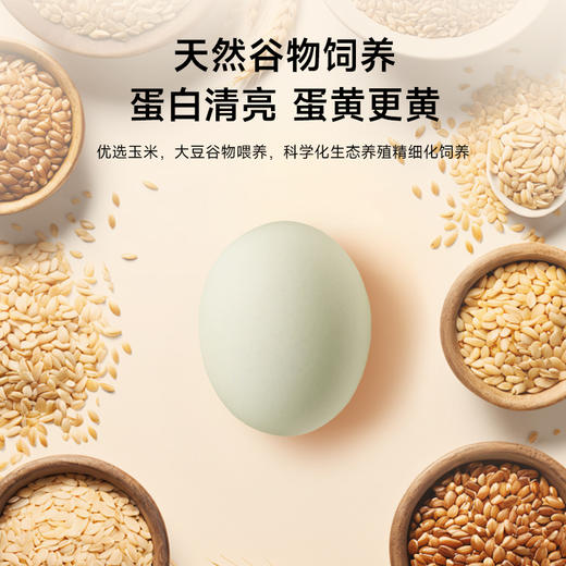 逸清源 富硒初生宝宝鸡蛋 30枚/盒 湖北汉川 商品图5