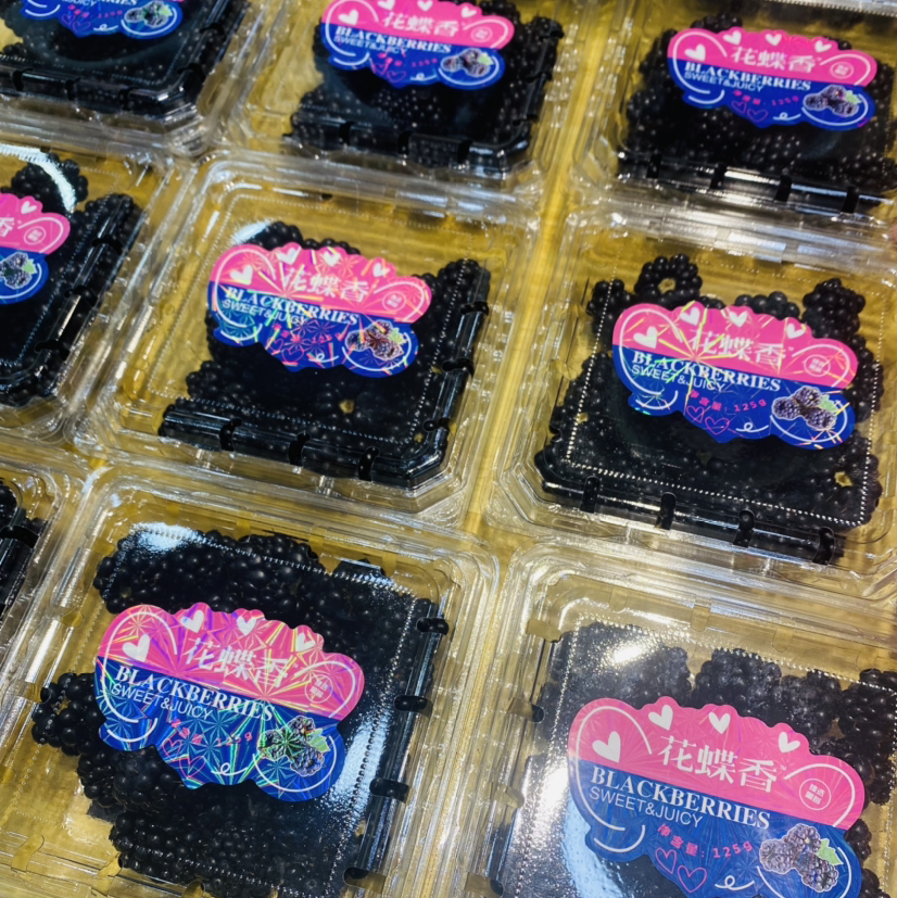 花蝶香黑树莓