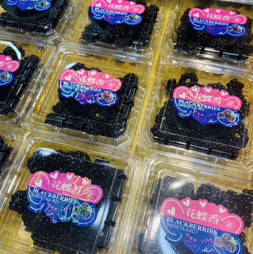 花蝶香黑树莓 商品图0