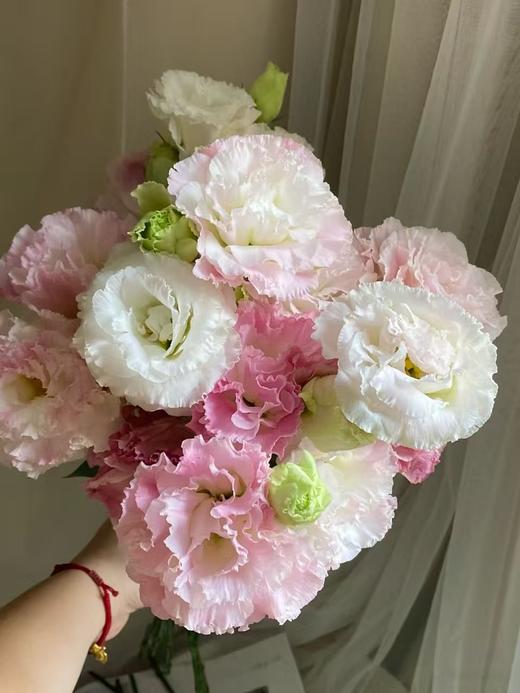 阳光粉洋桔梗800克 商品图0