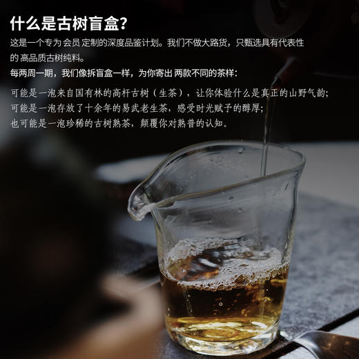 【会员专享】品鉴官计划古树茶样盲品第二期茶品分享 商品图1