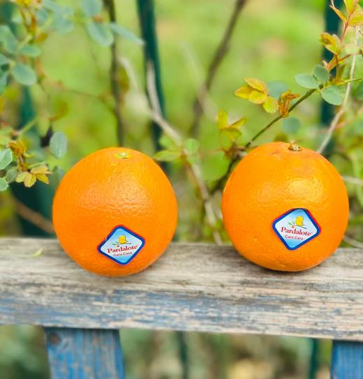 国产血橙|口感酸甜适中，汁水超丰富，直接吃或榨汁都很赞✨👍多吃橙补充维生素C~ 商品图2