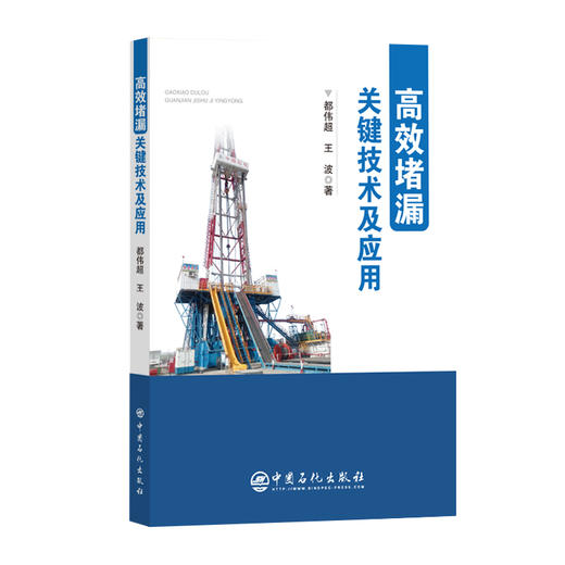 【官方旗舰店】高效堵漏关键技术及应用 本书能够作为油气钻井堵漏方向的专业参考书籍  商品图0