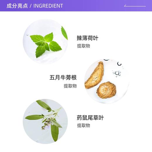 【跨境】CNP毛孔黑头清洁（鼻贴+毛孔收缩液）8片/组（效期：2027/02） 商品图2