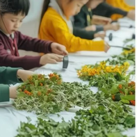 生命亲子新秀场