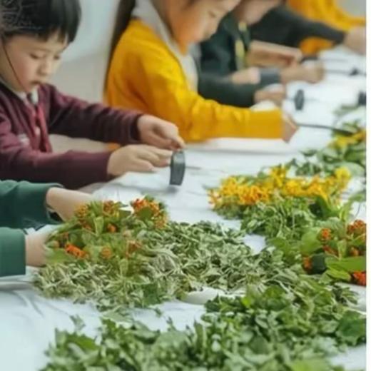 生命亲子新秀场 商品图0