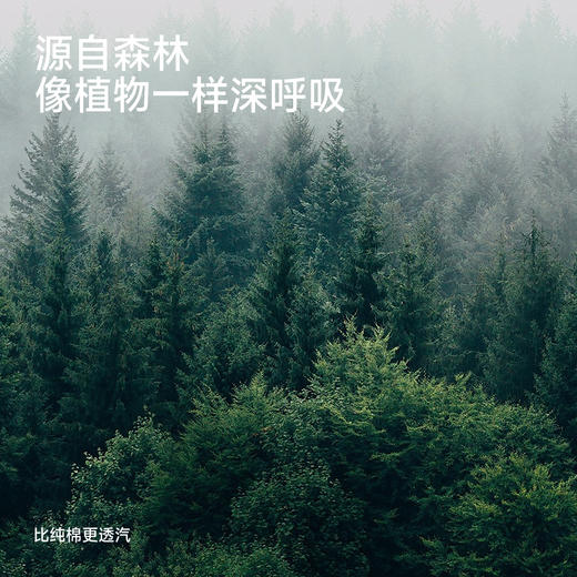 【高定系列】英氏儿童衣服男童夏季百搭条纹短袖T恤休闲套头衫新 商品图3
