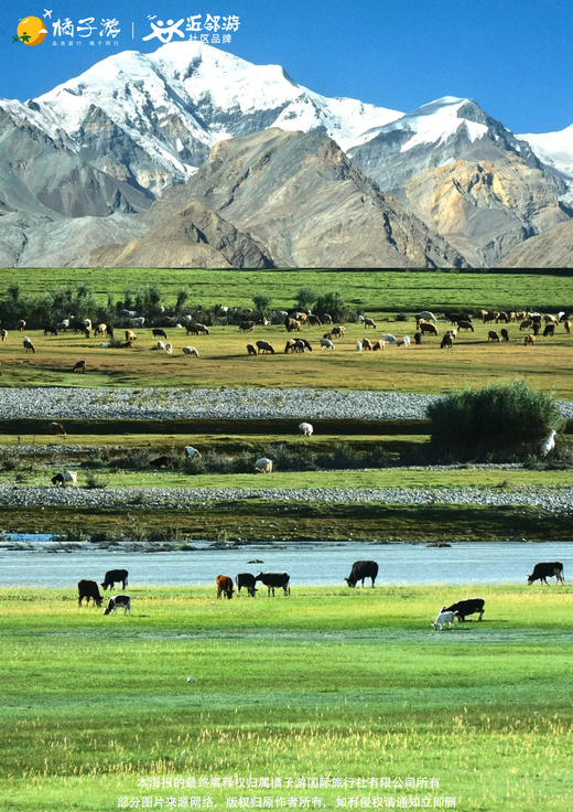 【秘境南疆】三飞 8 天 商品图1