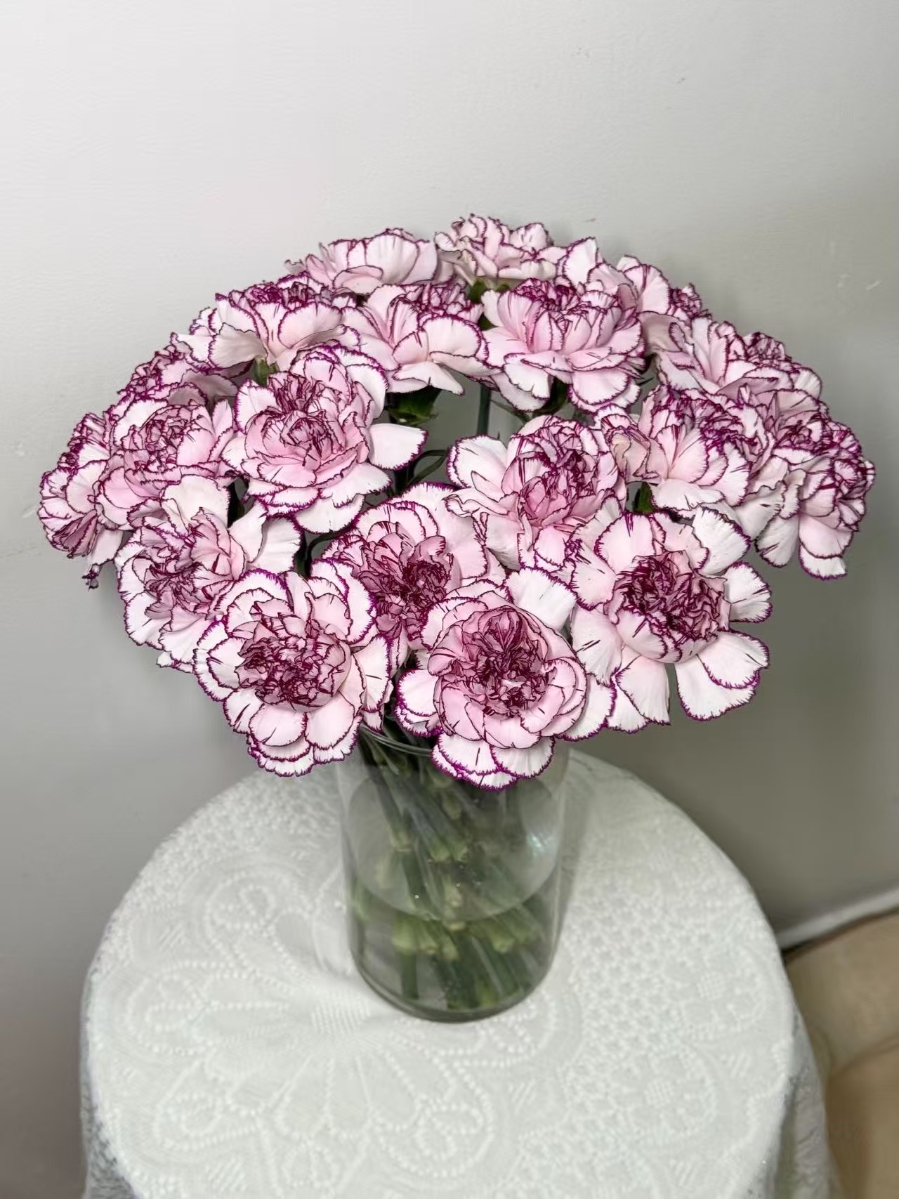 紫精灵单头康乃馨20枝