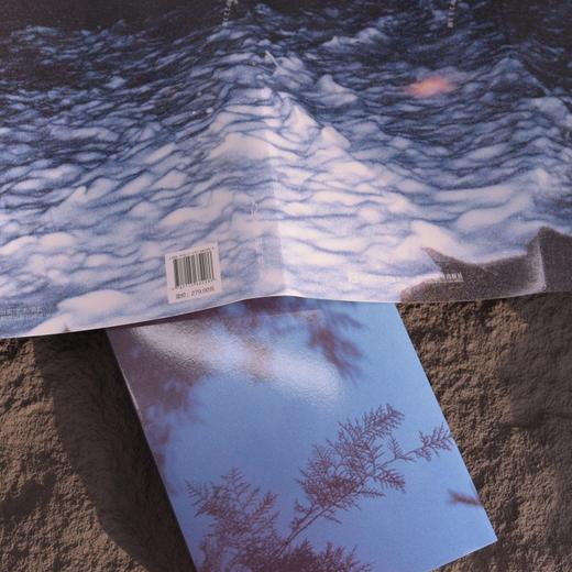 半枝浪 编号223摄影作品集摄影集画册个人摄影图集光影构图影像艺术编号223充满私密叙事与诗意碎片的摄影集 商品图4