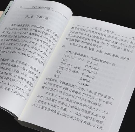 【现货捡漏】《殷墟王卜辞的分类与断代》，黄天树著，25开，平装，380页，文津出版社1991年初版，印数500册。售价88元。 商品图7