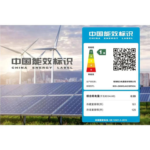 GREE格力 两门冰箱 290L 智能控温 双门锁鲜 BCD-290WGJAG1BPDGA/云岫岩 商品图6