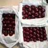 大连美早樱桃国产车厘子顺丰包邮 商品缩略图2