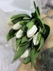 国产维珍白色郁金香10支 商品缩略图3