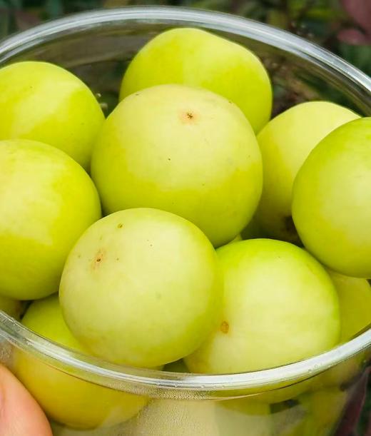 新到小而甜蜜的“晴王枣”，值得每一位喜欢美食的人去品尝~ 商品图1