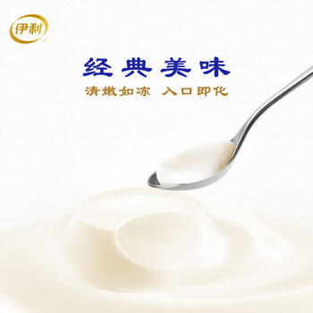 伊利经典凝酪酸奶 低温老酸奶家庭装原味 800g 风味发酵乳 商品图5