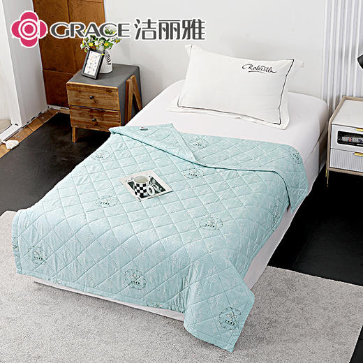 洁丽雅（Grace)春忆彩.艾草亲柔夏被 商品图2
