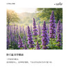 利芙耶 快乐鼠尾草单方精油10ml/瓶 商品缩略图1