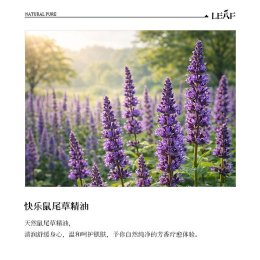 利芙耶 快乐鼠尾草单方精油10ml/瓶 商品图1