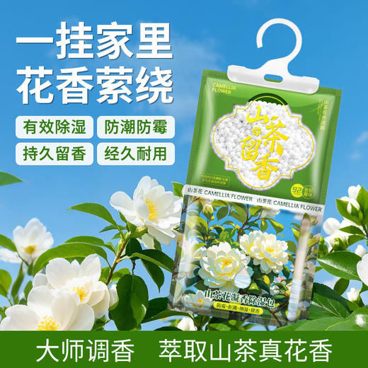 【一挂“湿”无忧❗️可挂式香氛除湿袋】衣柜里的 “除湿香薰”，让衣物自带山茶花香！可挂式设计，使用超方便，哪里潮湿挂哪里，吸水除湿防潮卧室干燥剂，吸水除湿防潮卧室干燥剂L 商品图3
