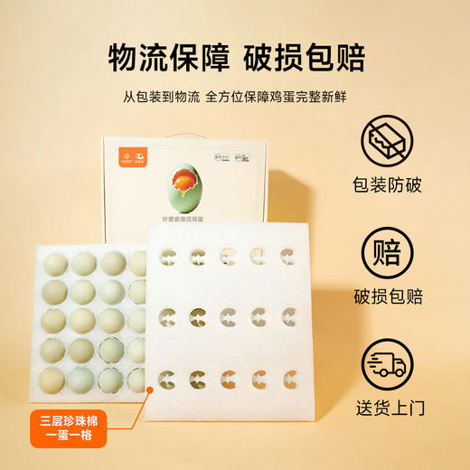 逸清源 叶黄素绿壳鸡蛋 30枚/盒 湖北汉川 商品图1