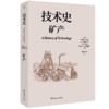 技术史：矿产  一部按主题重新梳理的技术文明史诗 商品缩略图0