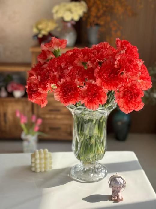 火焰单头康乃馨20枝 商品图0