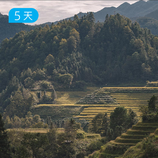 漓江50公里精华版徒步｜高口碑户外路线 多重户外花样玩法 16人小团 5日 商品图9