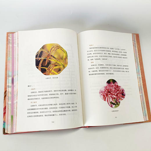 二十四节气里的人间烟火【 圆脊精装，双封，全彩，三口刷边，赠：4张藏书票】 商品图3