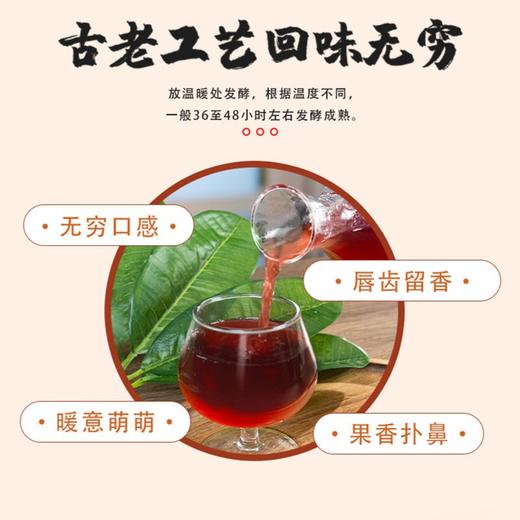 【抖音爆卖5万+】酒厂直供正宗桑葚酒传统自酿果酒桶装桑葚米酒 商品图3