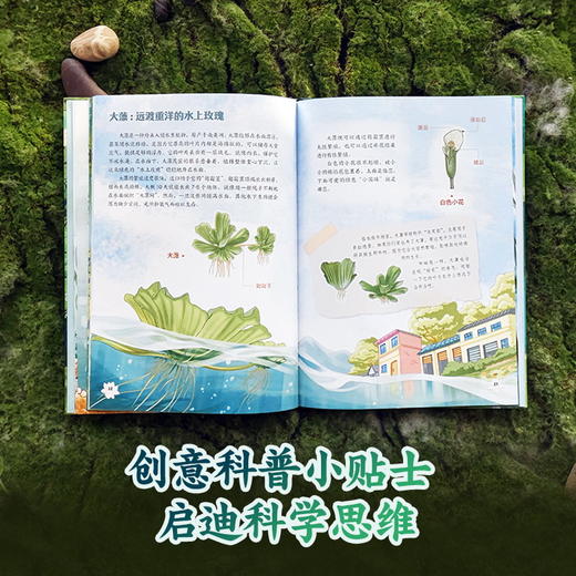 【9岁+】【遇见自然】水生植物的生存智慧 商品图3